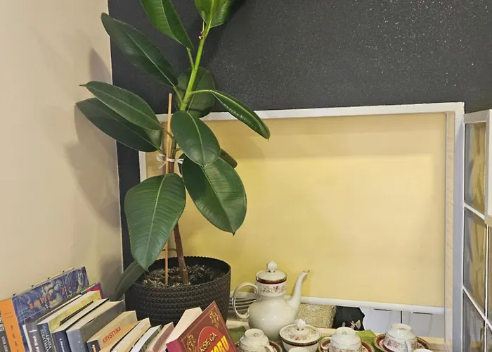 Sj - Bezkontaktowe Zameldowanie