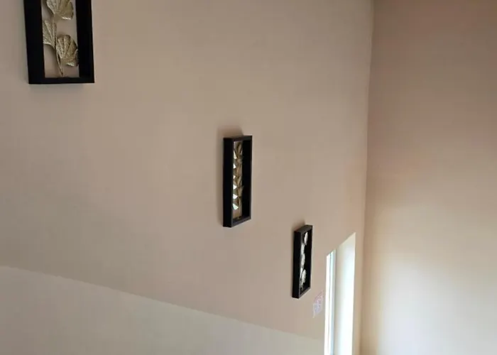 Sj - Bezkontaktowe Zameldowanie *