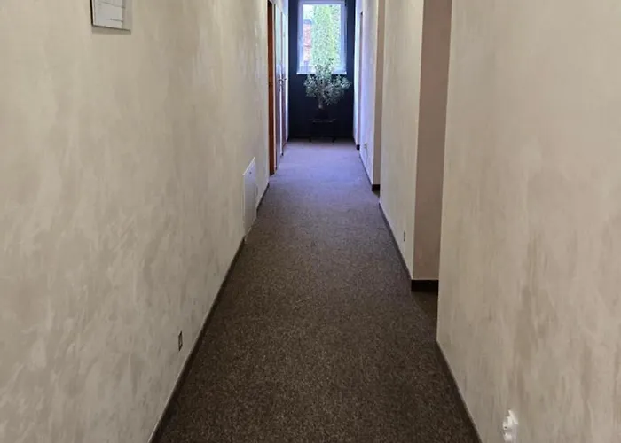 Sj - Bezkontaktowe Zameldowanie * 罗兹